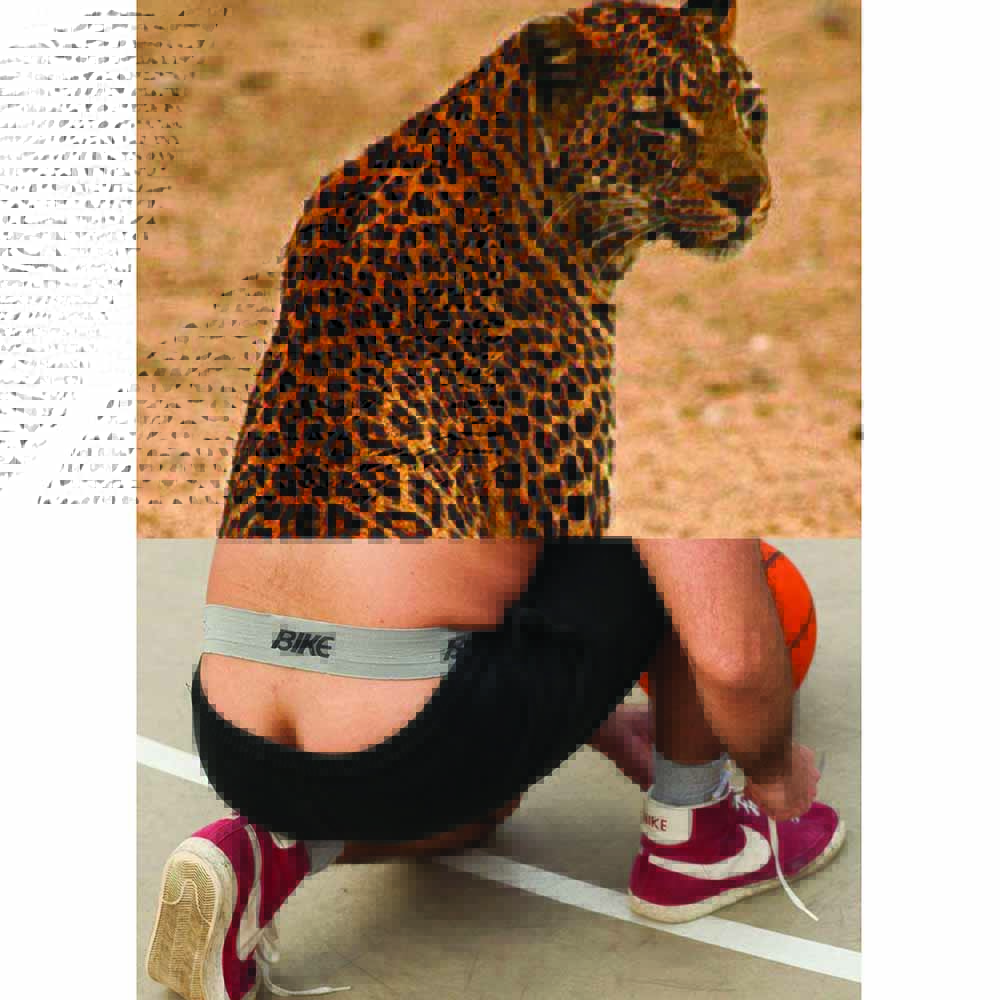 naro Pinosa Jaguar Bike Jockstrap Postcard
