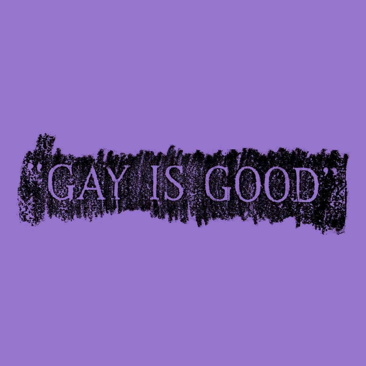 Don't Say Gay, we say GAY IS GOOD!
