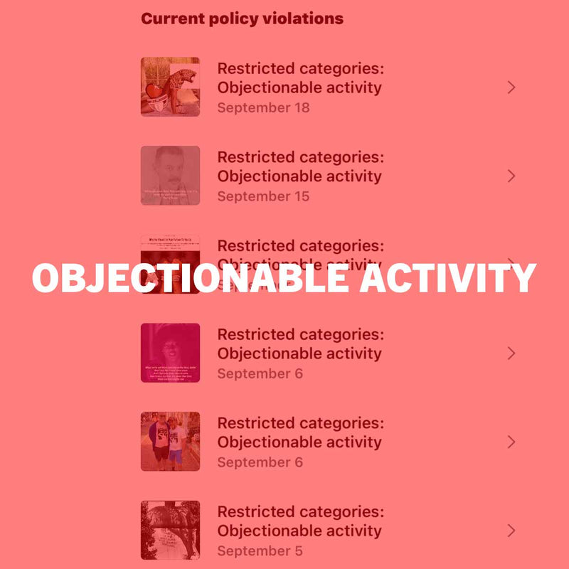 Objectionable Activity!