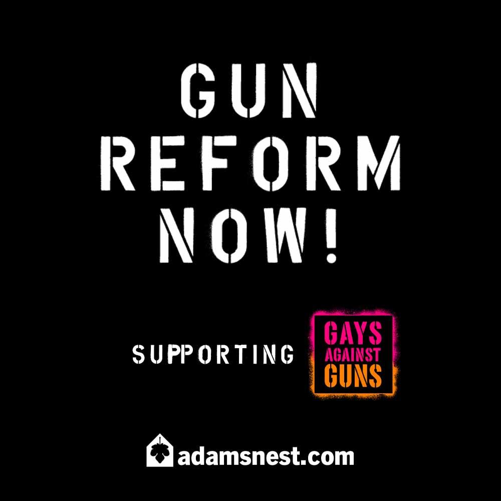 Gun reform now supporting Gays Against Guns
