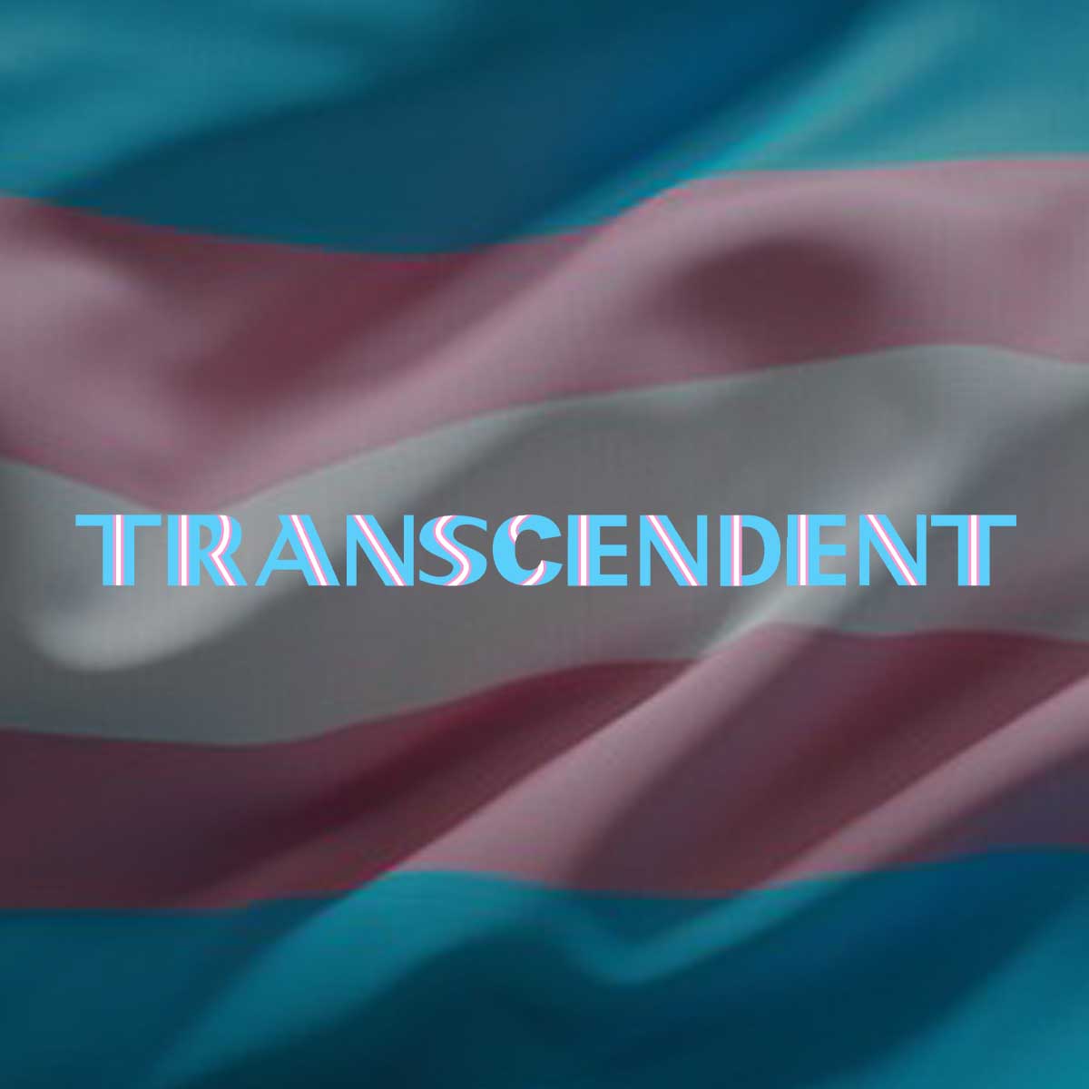 Transciends Trans and transcendent tees supporting NCTE – Adam's Nest