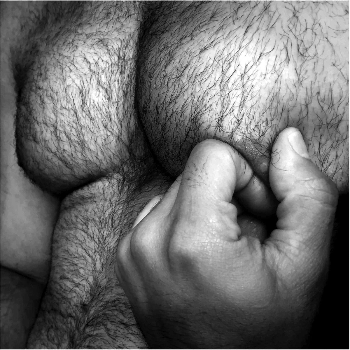 Hairy Chest Nipple Pinch collection at Adam's Nest