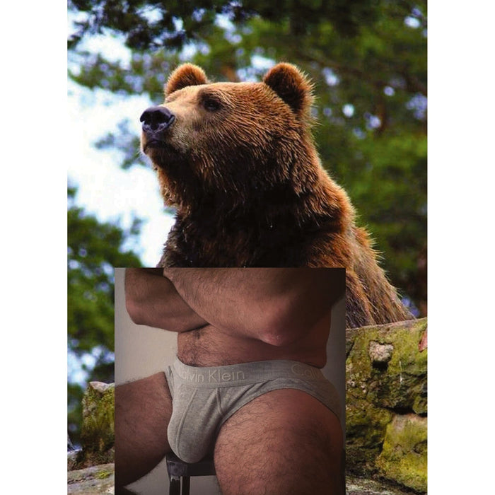 Naro Pinosa Bear Grey Ck Brief Postcard