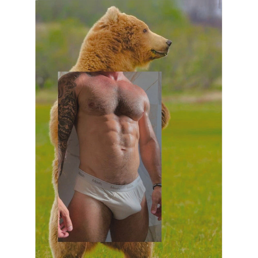 Naro Pinosa Bear Outdoors Mastr Brief Postcard by Naro Pinosa