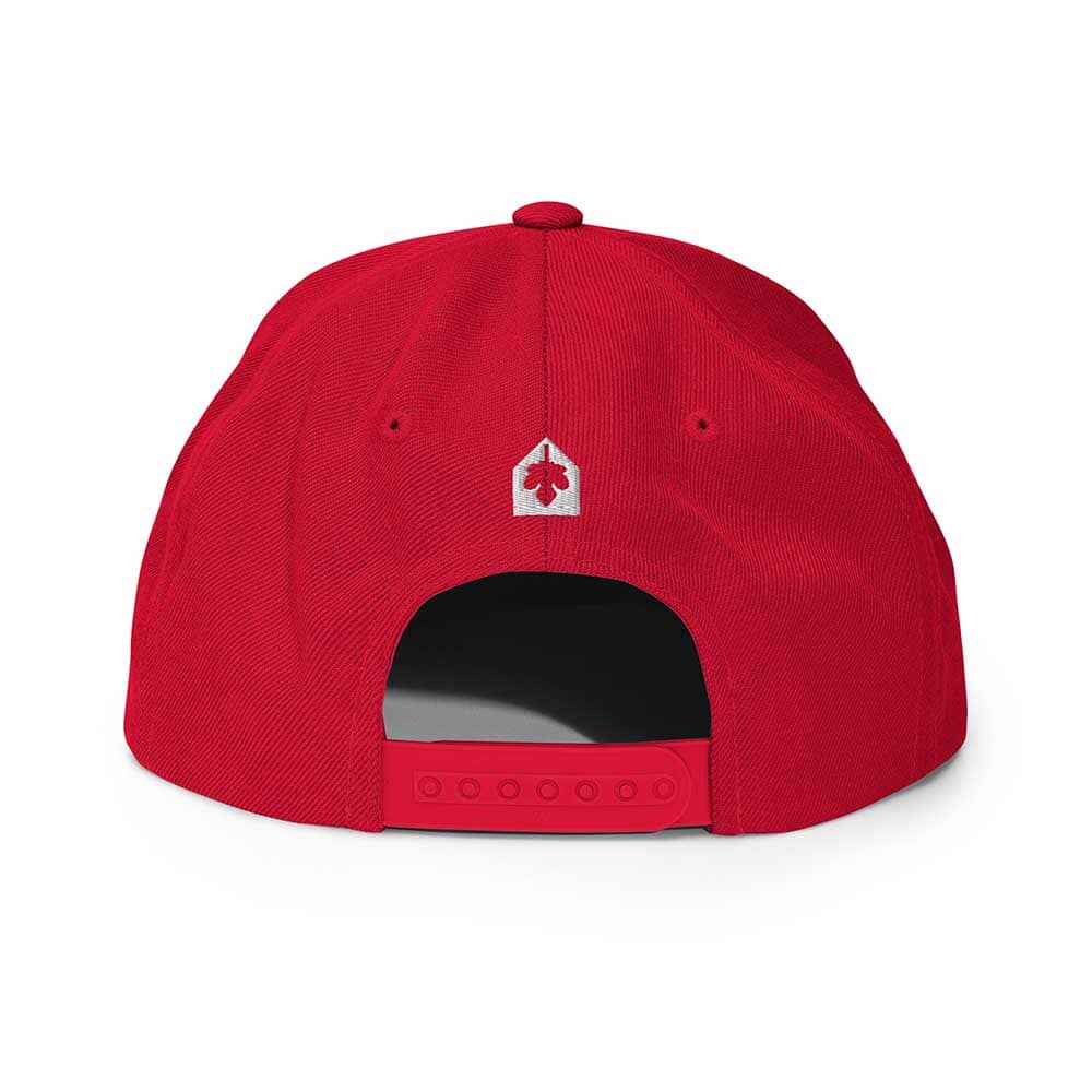 DEFIANT DYKE Flatbill 6-Panel Snapback Hat red back