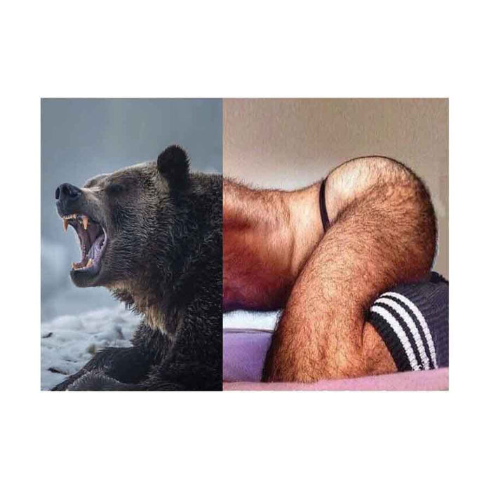 Naro Pinosa Growling Bear Postcard