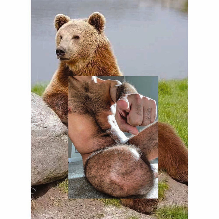 NARO POINOSA POINTING BEAR COLLAGE POSTCARD