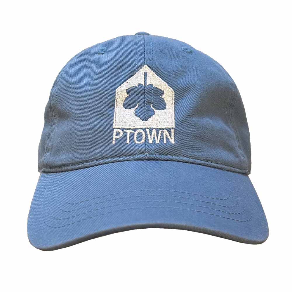 PTOWN icon Twill Dad Hat light blue