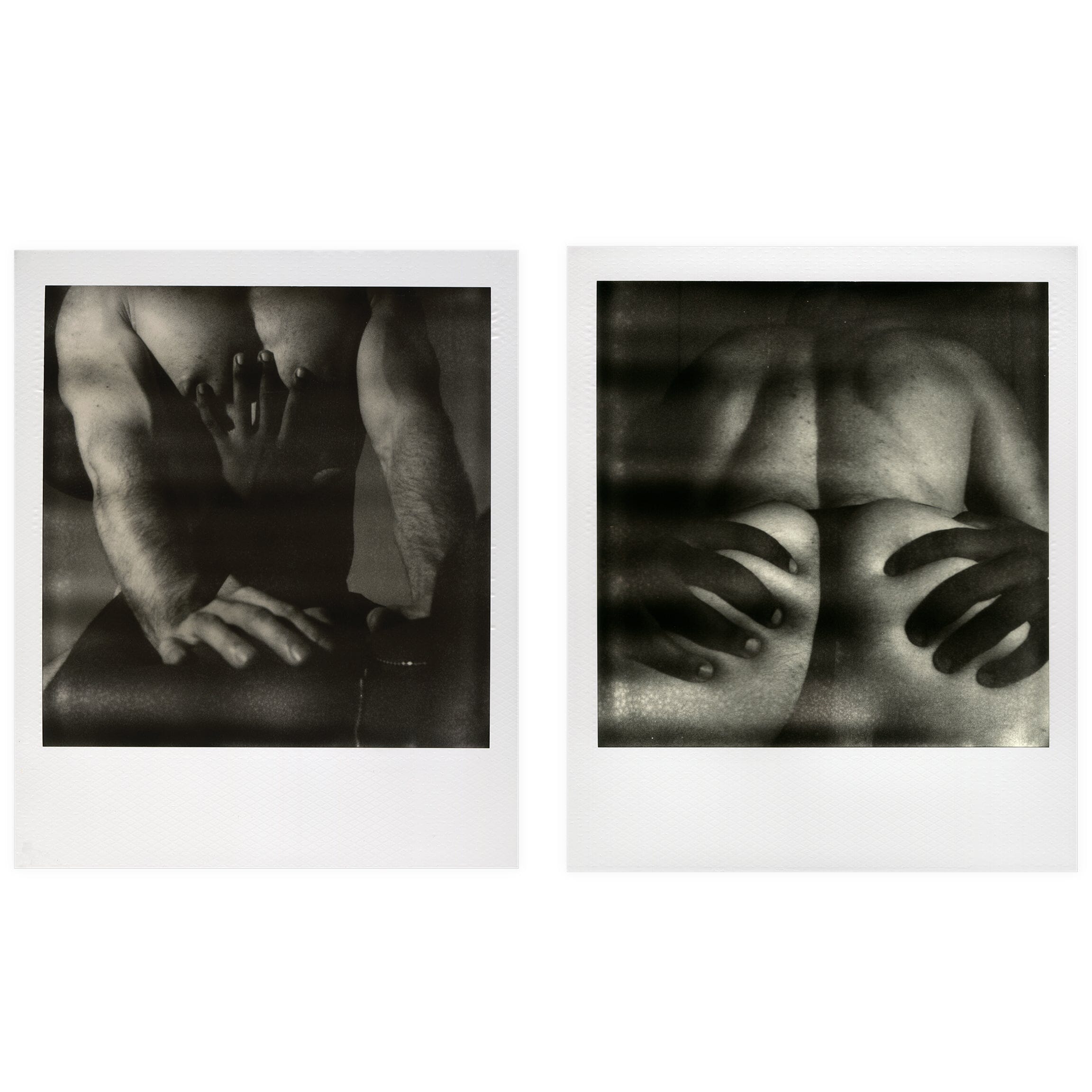 Push Me / Pull Me Diptych