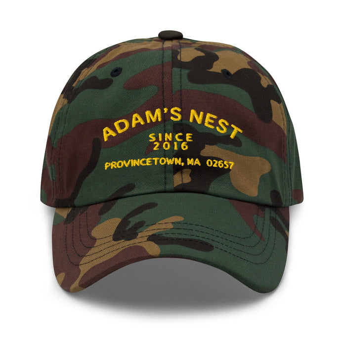 SINCE 2016 Twill Dad Hat