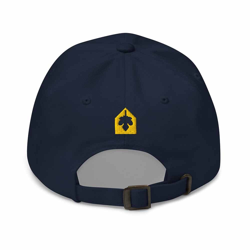 navy sunshine twill dad hat back