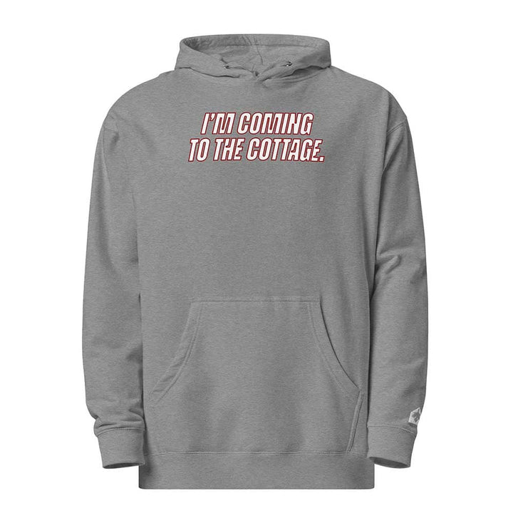 Gray hoodie with text &