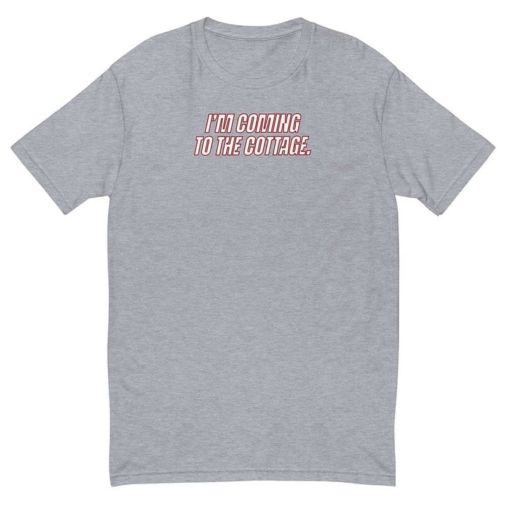 Gray t-shirt with &
