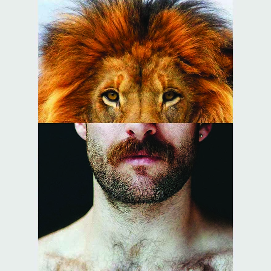 Naro Pinosa Lion Mustache Postcard