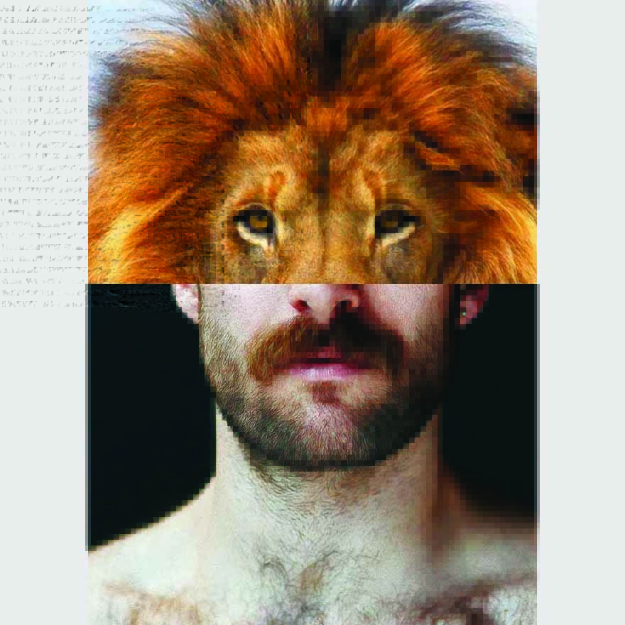 Naro Pinosa Lion Mustache Postcard by Naro Pinosa