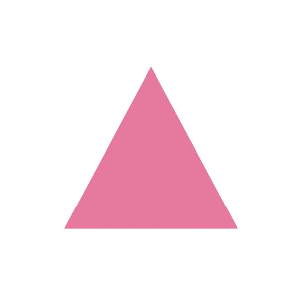 Pink Triangle Sticker - Ali Forney Center