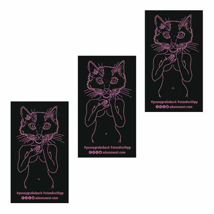 3 Brian Kenny Pink Pussycat Stickers supporting Planned Parenthood