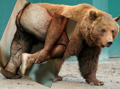 Naro Pinosa Bear Butt Postcard