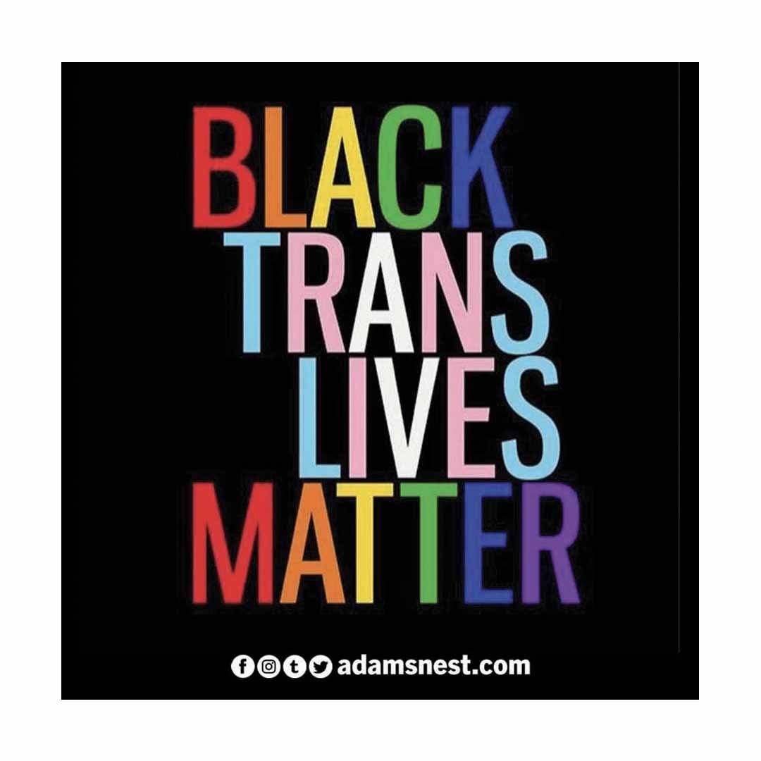 black trans lives matter sticker