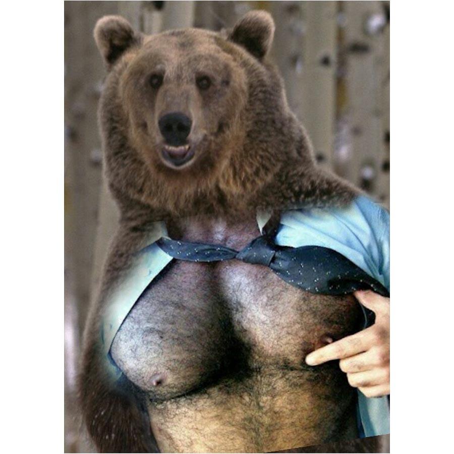 Naro Pinosa Nipple Tweak Bear Postcard by Naro Pinosa