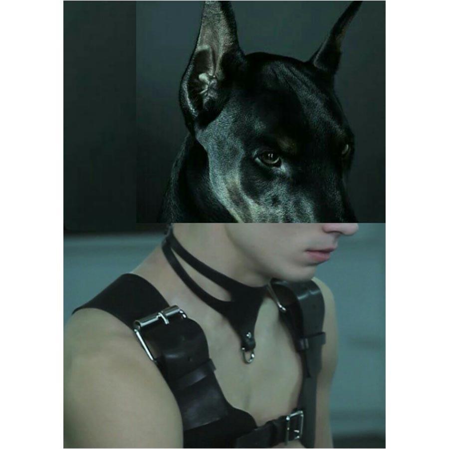 Naro Pinosa Harness Postcards collection at Adam's Nest