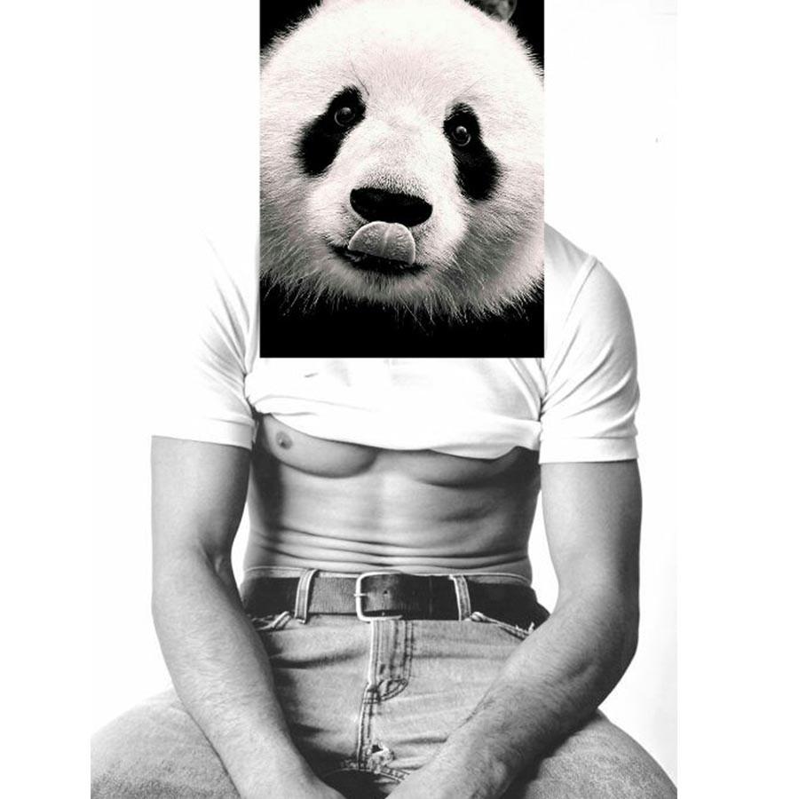 Naro Pinosa Panda Man Postcard