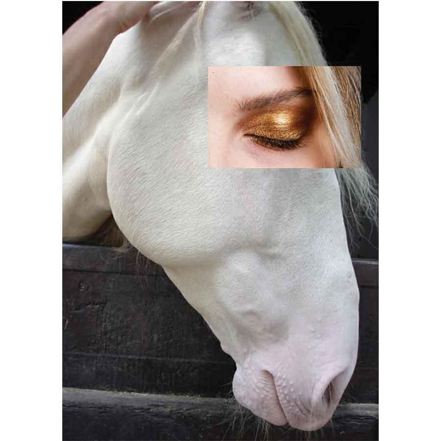 Naro Pinosa White Horse Eyeshadow Postcard