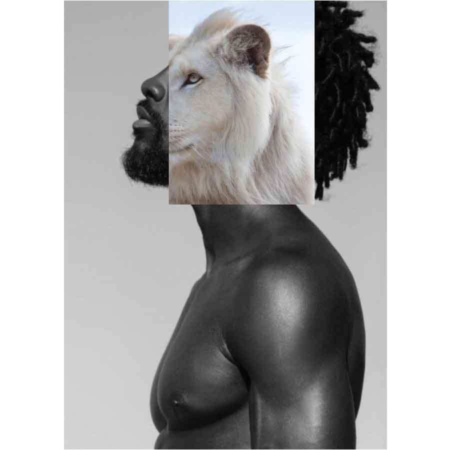 Naro Pinosa Albino Lion Black Man Postcard by Naro Pinosa
