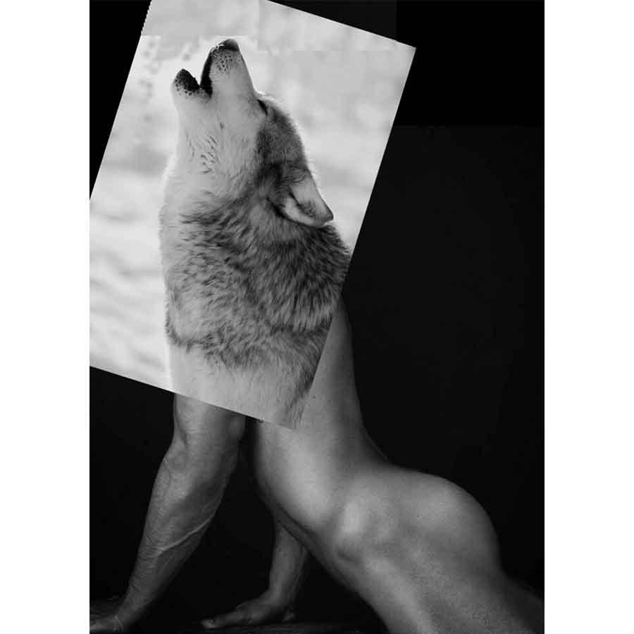 Naro Pinosa Wolf Howling Postcard by Naro Pinosa