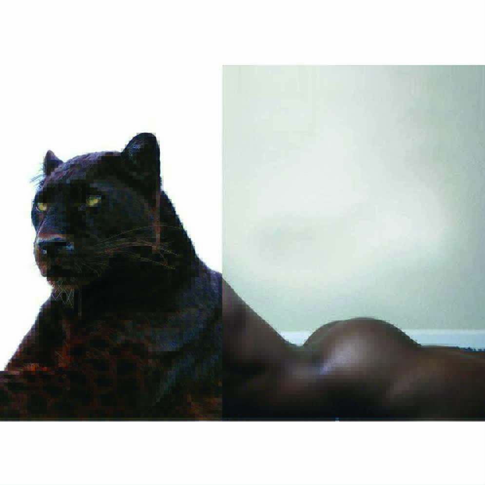 naro pinosa black jaguar postcard