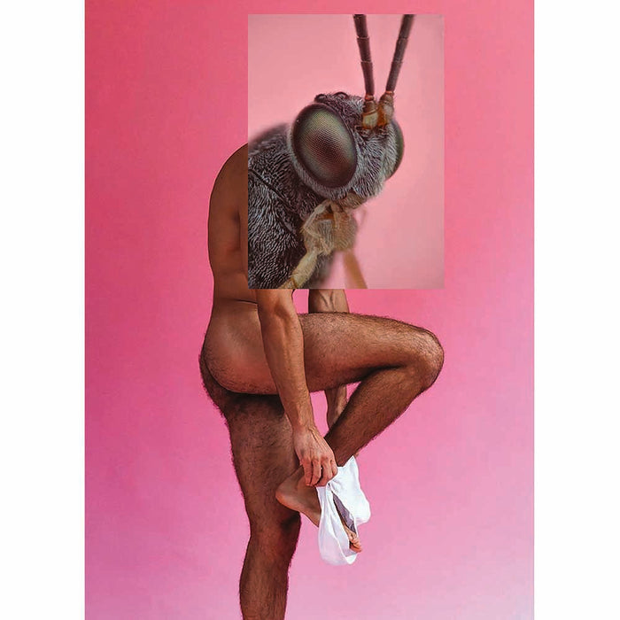 Naro Pinosa Insect Head Tighty Whities Postcard