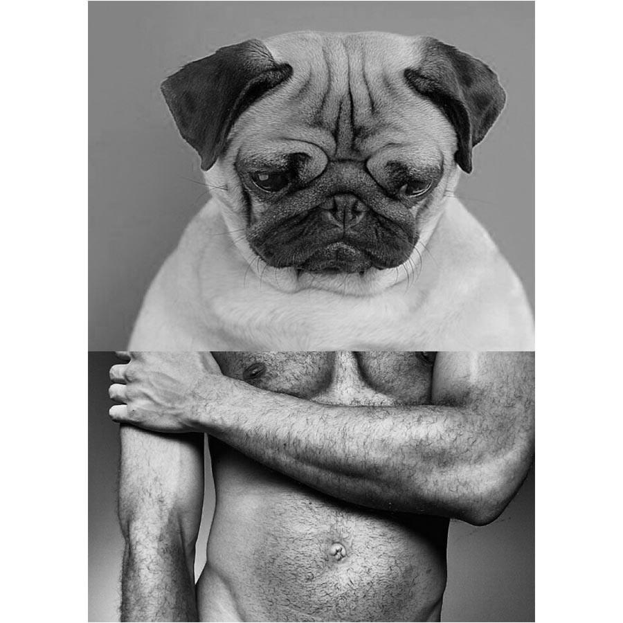 Naro Pinosa Pug Man Postcard by Naro Pinosa