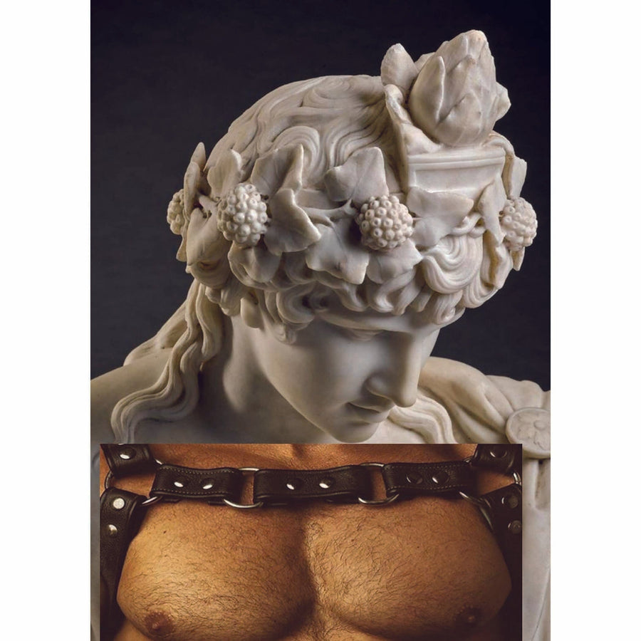 Naro Pinosa Leather Harness Statue Head Postcard by Naro Pinosa