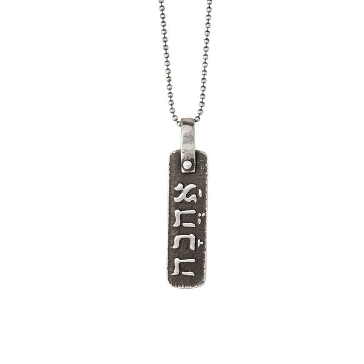 Ahava Necklace in Silver