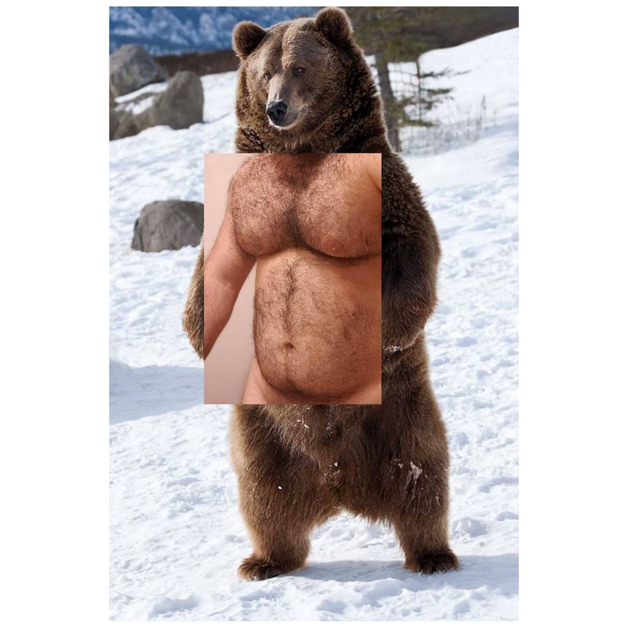 Naro Pinosa Standing Grizzly Bear Postcard by Naro Pinosa