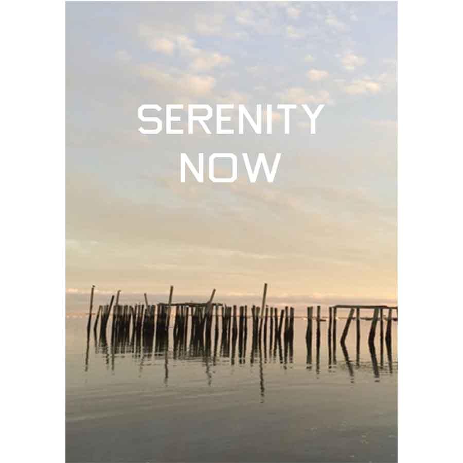 Serenity Now - Pilings Provincetown Postcard