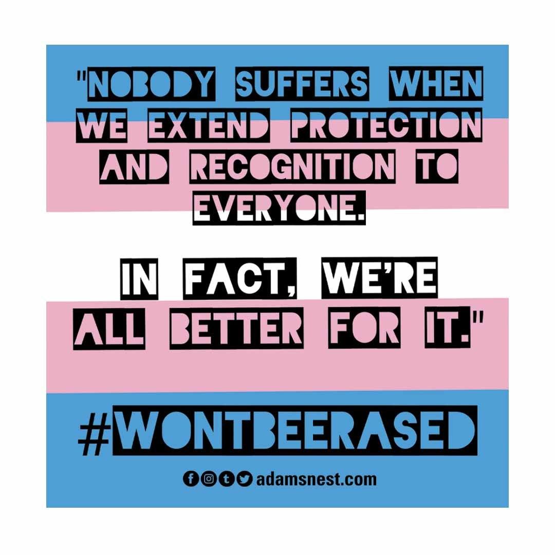 #wontbeerased sticker supporting the trevor project
